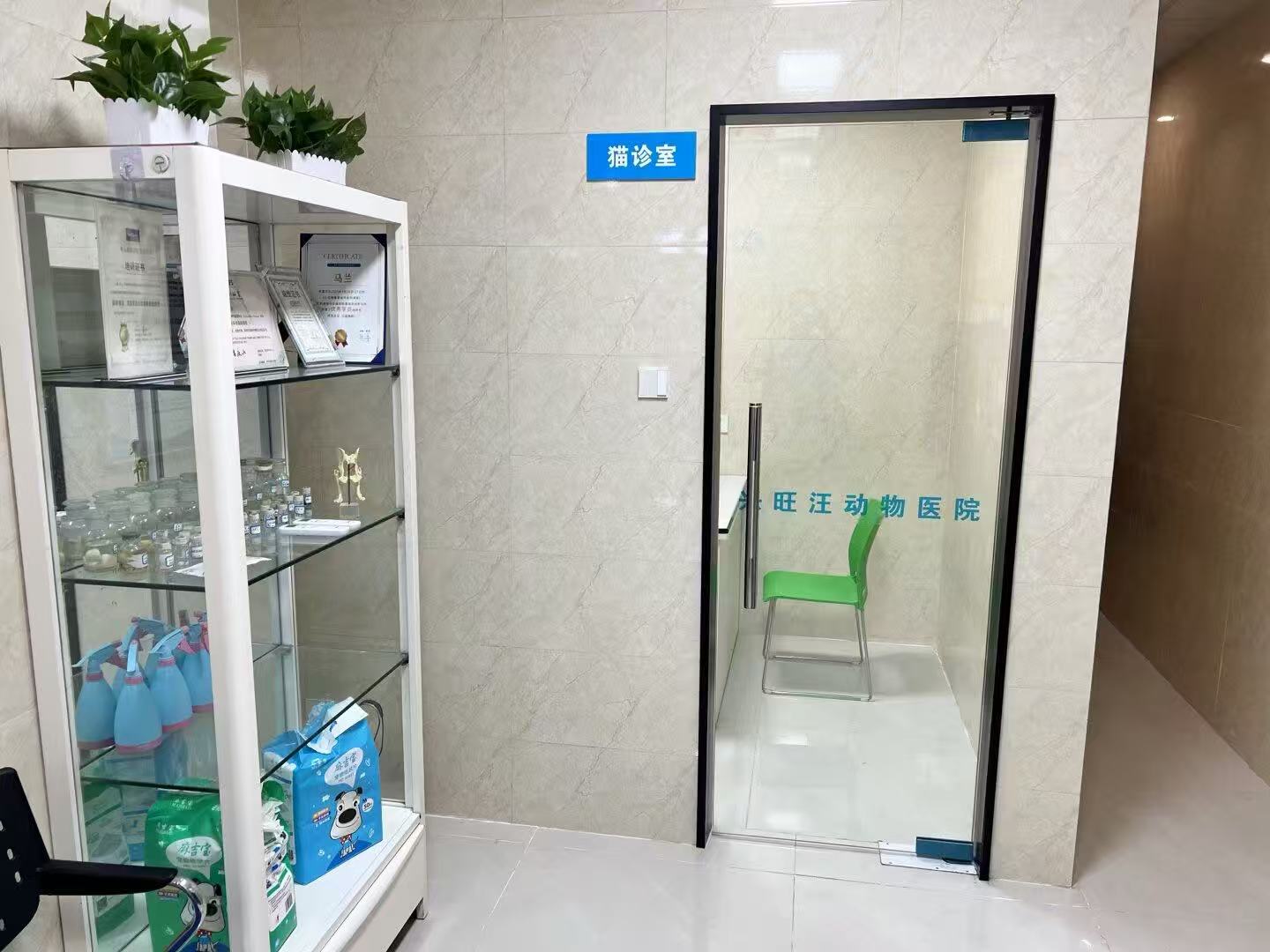 雅安宠物